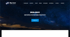 Desktop Screenshot of biglinux.com.br